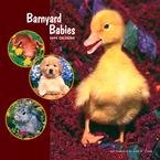 Barnyard Babies 2009 Wall Calendar