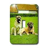 Dogs Mastiff - Mastiff - Light Switch Covers - single toggle switch