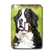 Dogs Bernese Mountain Dog - Bernese Mountain Dog - Light Switch Covers - single toggl...