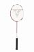 Sports : Badmintonschl&auml;ger ISOFORCE 511