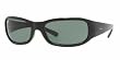 Ray-Ban RB 4137 sunglasses