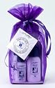 Aubrey Organics Natural Herbal Travel Set for Oily Skin