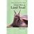 How to Care  for Your Giant African Land Snail