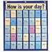 Pacon Corporation Products - Behavioral Pocket Chart, 35 Pockets, 18-1/2