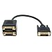 Dvi Splitter Cable - 1 Male To 2 Female