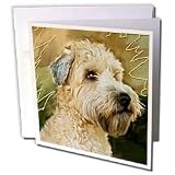 Dogs Soft Coated Wheaten Terrier - Soft Coated Wheaten Terrier Portrait - Greeting Cards-6 Greeting Cards with envelopes
