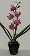 24" Mauve Silk Cymbidium Orchid