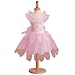 Rosebud Fairy 2-3 yrs