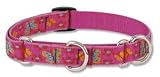 Lupine Medium Martingale Style Dog Collar - Grrly Dog 19-27
