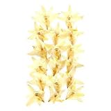 【5袋入りパック】フラワー　単品◆　オーニソガラム
