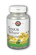 Sinus Releev - 90 - Tablet Sinus Releev - 90 - Tablet