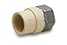 Everflow Supplies SSCPF112-NL 1-1/2" Lead Free Transition Fitting with a Stainless Steel Female Threaded and with a CPVC Connection