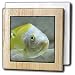 Kike Calvo Animals - Picturing fish in the biggest river aquarium in Europe - Tile Napkin Holders