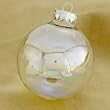 Club Pack of 24 Clear Iridescent Glass Ball Christmas Ornaments 3.25" (80mm)