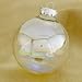 Club Pack of 24 Clear Iridescent Glass Ball Christmas Ornaments 3.25" (80mm)
