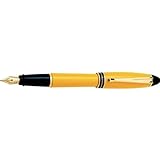 Aurora Ipsilon Resin Yellow Bold Point Fountain Pen - AU-B11Y-B
