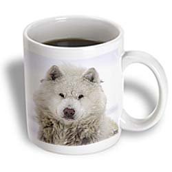 Canadian Eskimo Dog Hudson Bay Churchill Northern Canada - 11oz Mug