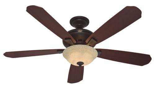 Hunter 21711, Grant Park New Bronze 60 Ceiling Fan with Light