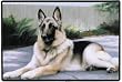 German Shepherd on the Porch Barrie Barnett Indoor Outdoor Doormat
