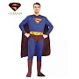 Superman Returns Costume Adult