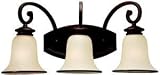 Sea Gull Lighting 44146-814 Acadia Three-Light Wall Vanity, Misted Bronze Finish with Champagne Seeded Glass