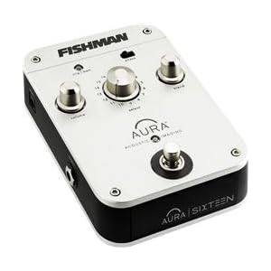 Click here to buy Fishman Aura Sixteen pedal.
