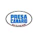 PRESA CANARIO - Bad to the Bone - Dog Breed Euro - Window Bumper Sticker