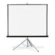 Quartet Portable Tripod Projection Screen, 60 x 60 Inches, High-Resolution, Matte Surface (560S)