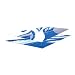 Sporting Goods : RV Patio Mat: 9 x 18 Ocean Waves Pattern