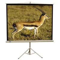 67 inch Tripod Projector Screen, Matte White Fabric, 1:1 Aspect Ratio