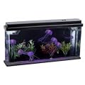 Aquarium g�ant M�duses