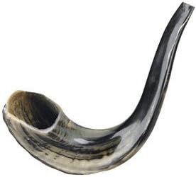 Ram Horn Shofar (9-11 inches)