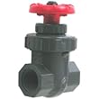 Gate Valve - 1 inch FPT X 1 inch FPT