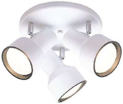 Angelo Brothers 66326  Three-Light Multi-Directional Ceiling Fixture