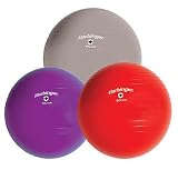 Harbinger Training Balls - Purple 55cm