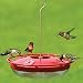 Aspects 429 Hummzinger Highview Feeder