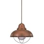 Sea Gull Lighting 6658-44 Sebring One-Light Pendant, Weathered Copper Finish with Clear Seeded Glass