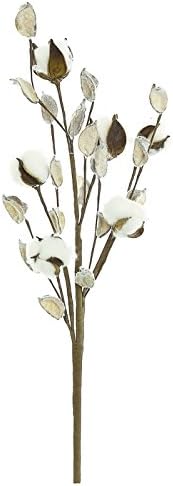 Natural Cotton &amp; Pod Pick Stem Set of Three (21 inches)