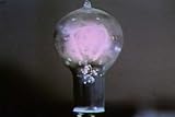 Land & Resource Management Documentary: Energy - The American Experience (1970s)