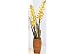 Palm Island Home Vanda Orchid In Rope Vase