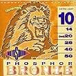 Acoustic Guitar Strings