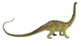 Carnegie Collection- Diplodocus