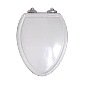 American Standard 5260.012.020 Traditional Champion-4 Slow Close Molded Wood Toilet Seat with Cover, White