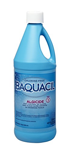 Baquacil Algicide - 1 qt