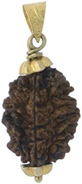 Astrology Paradise Two Face Panchdhatu Rudraksha Pendant