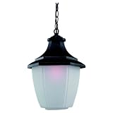 Sea Gull Lighting 60170-12 Single-Light Urbana Outdoor Pendant, Etched Ice Glass, Black