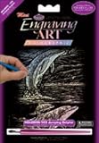 Royal Brush Mini Holographic Engraving Art Kit 5X7 Jumping Dolphin HOLOMIN-103, 6 Item(s)/Order