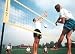 Sporting Goods : Spectrum Deluxe Volleyball Set