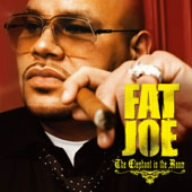 Elephant in the Room by Fat Joe