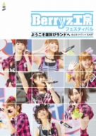 Berryz工房 フェスティバル~ようこそ雄叫びランドへ~ [DVD]